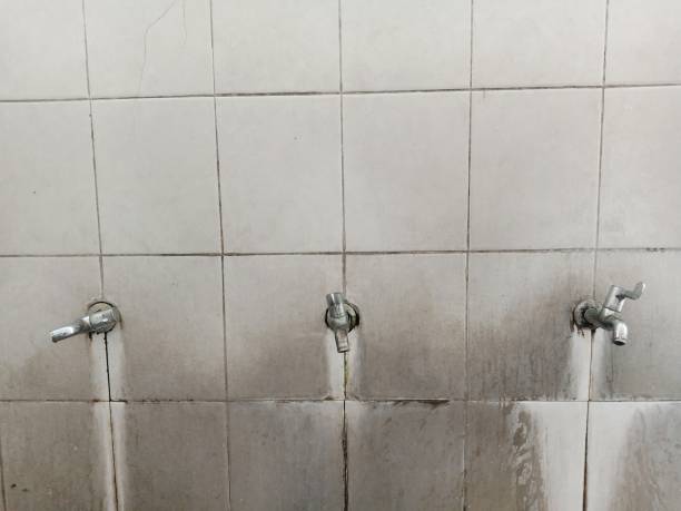 Best Water damage restoration services  in Rockton, IL