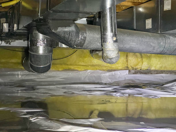 Best Water damage mitigation services  in Rockton, IL