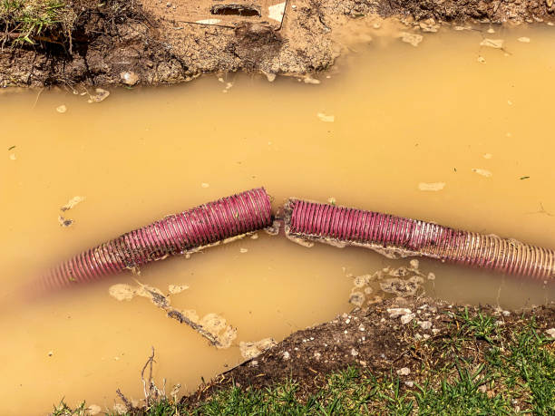 Best Sewage cleanup and water damage restoration  in Rockton, IL