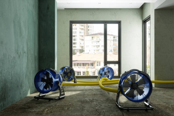 Best Water damage restoration insurance claims  in Rockton, IL